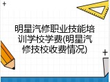 明星汽修职业技能培训学校学费(明星汽修技校收费情况)