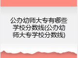 公办幼师大专有哪些学校分数线(公办幼师大专学校分数线)