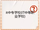 it中专学校(IT中等职业学校)