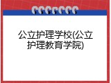 公立护理学校(公立护理教育学院)