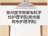 泉州医学高等专科学校护理学院(泉州医高专护理学院)