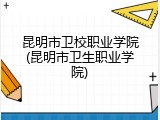 昆明市卫校职业学院(昆明市卫生职业学院)