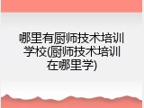 哪里有厨师技术培训学校(厨师技术培训在哪里学)