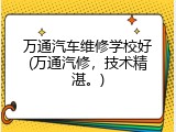 万通汽车维修学校好(万通汽修，技术精湛。)