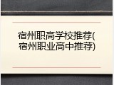 宿州职高学校推荐(宿州职业高中推荐)