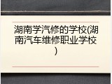 湖南学汽修的学校(湖南汽车维修职业学校)