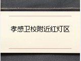 孝感卫校附近红灯区