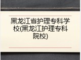 黑龙江省护理专科学校(黑龙江护理专科院校)