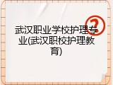 武汉职业学校护理专业(武汉职校护理教育)
