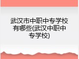 武汉市中职中专学校有哪些(武汉中职中专学校)