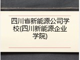 四川省新能源公司学校(四川新能源企业学院)