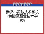 武汉市黄陂技术学校(黄陂区职业技术学校)