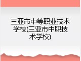三亚市中等职业技术学校(三亚市中职技术学校)
