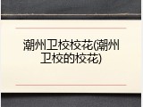 潮州卫校校花(潮州卫校的校花)