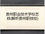 贵州职业技术学校怎样(解析贵州职技校)