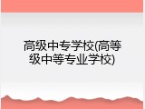 高级中专学校(高等级中等专业学校)