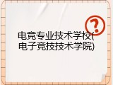 电竞专业技术学校(电子竞技技术学院)
