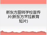 新东方厨师学校宣传片(新东方烹饪教育短片)
