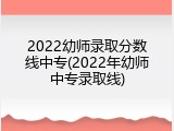 2022幼师录取分数线中专(2022年幼师中专录取线)