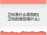 卫校是什么级别的(卫校的级别是什么)
