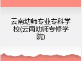 云南幼师专业专科学校(云南幼师专修学院)