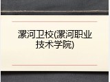 漯河卫校(漯河职业技术学院)
