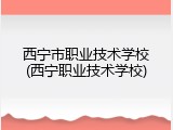 西宁市职业技术学校(西宁职业技术学校)
