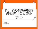 四川公办职高学校有哪些(四川公立职业高中)