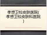 孝感卫校皮肤医院(孝感卫校皮肤科医院)