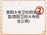 贵阳大专卫校招生简章(贵阳卫校大专招生公告)