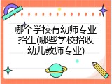 哪个学校有幼师专业招生(哪些学校招收幼儿教师专业)