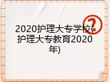 2020护理大专学校(护理大专教育2020年)