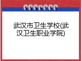 武汉市卫生学校(武汉卫生职业学院)