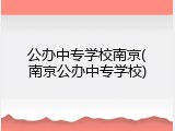 公办中专学校南京(南京公办中专学校)