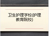 卫生护理学校(护理教育院校)