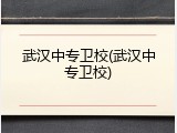 武汉中专卫校(武汉中专卫校)