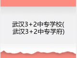 武汉3+2中专学校(武汉3+2中专学府)