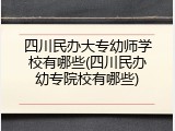 四川民办大专幼师学校有哪些(四川民办幼专院校有哪些)