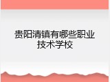 贵阳清镇有哪些职业技术学校
