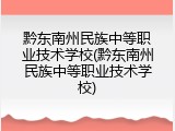 黔东南州民族中等职业技术学校(黔东南州民族中等职业技术学校)