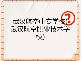 武汉航空中专学校(武汉航空职业技术学校)