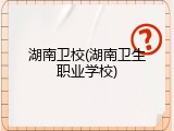 湖南卫校(湖南卫生职业学校)