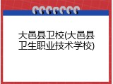 大邑县卫校(大邑县卫生职业技术学校)