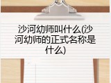 沙河幼师叫什么(沙河幼师的正式名称是什么)