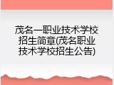 茂名一职业技术学校招生简章(茂名职业技术学校招生公告)