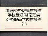 湖南公办职高有哪些学校最好(湖南顶尖公办职高学校有哪些？)
