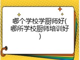 哪个学校学厨师好(哪所学校厨师培训好)