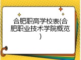 合肥职高学校表(合肥职业技术学院概览)