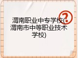 渭南职业中专学校(渭南市中等职业技术学校)