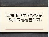 珠海市卫生学校校花(珠海卫校校园佳丽)